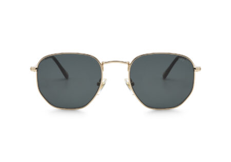 zonnebrillen>DEX DEX 71-6